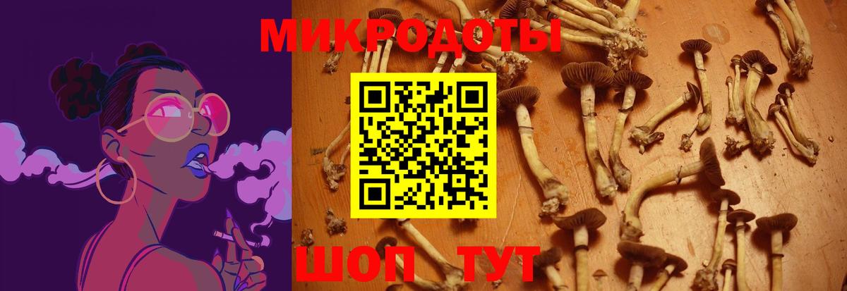 Псилоцибиновые грибы мухоморы Урус-Мартан